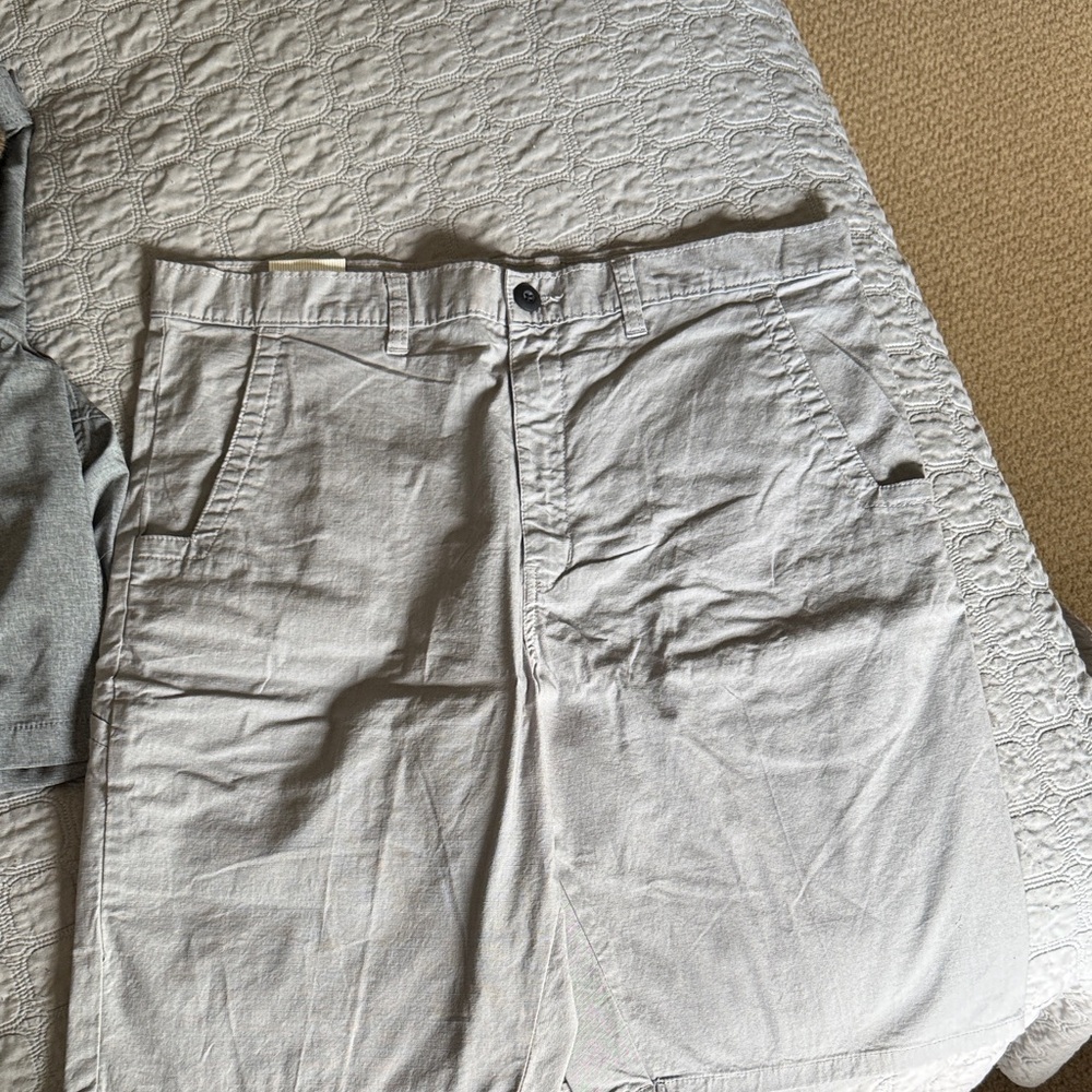 Dickies Men's Light Gray Flat Front Shorts